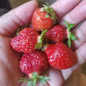 Meet your Posher, Marisa